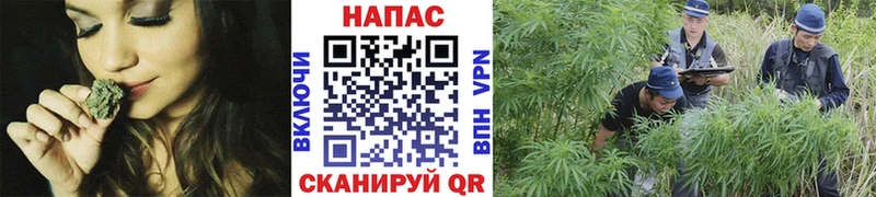 Продажа наркотиков Короча КОКАИН  Мефедрон  Alpha PVP  kraken зеркало  Гашиш 