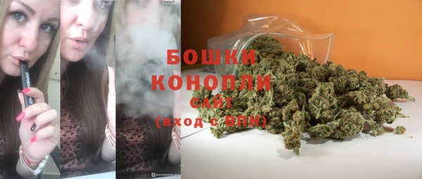 ALPHA PVP Горнозаводск
