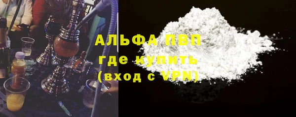 гидра Покачи