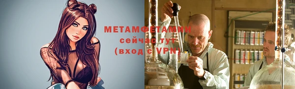 прущие крисы Горняк