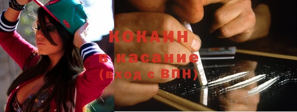 прущие крисы Горняк