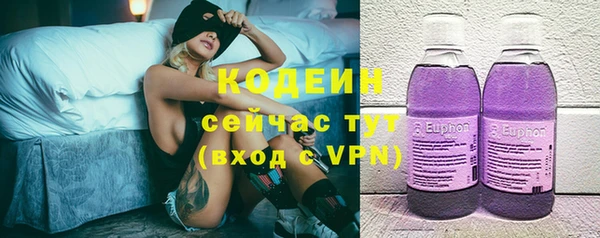прущие крисы Горняк