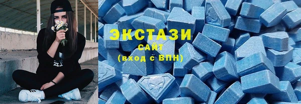 гидра Покачи