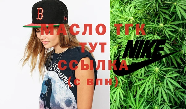 прущие крисы Горняк