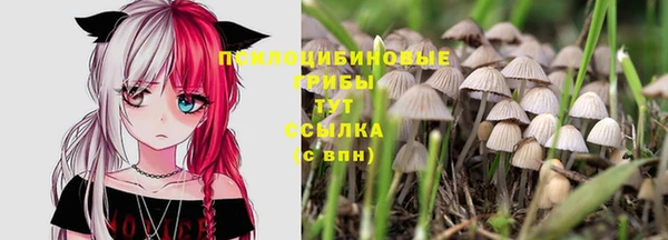 первитин Покров